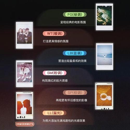 拍立得相机哪款好?四类机型选购指南与深度解析