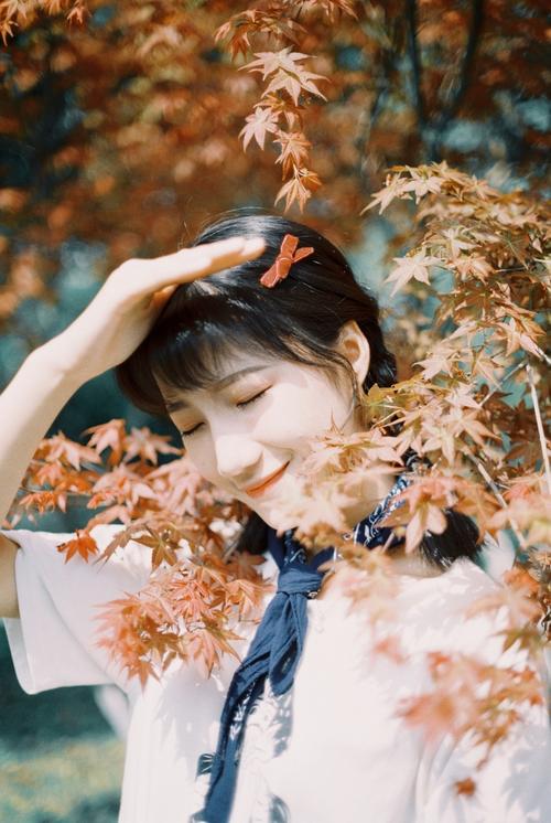 胶片20 胶片